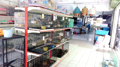 Fibiz Sdn Bhd