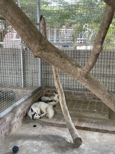 Zoo Rimba Razia