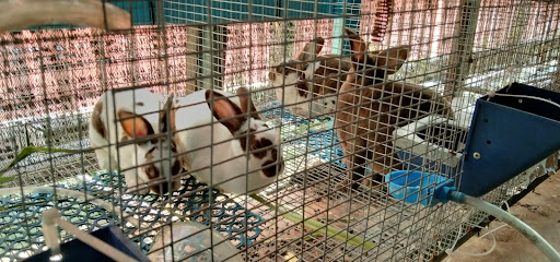KEDAI HAIWAN KEMAMAN
