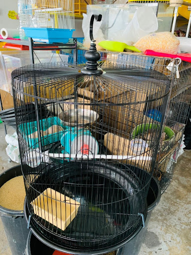 Ami Pet Shop Gombak