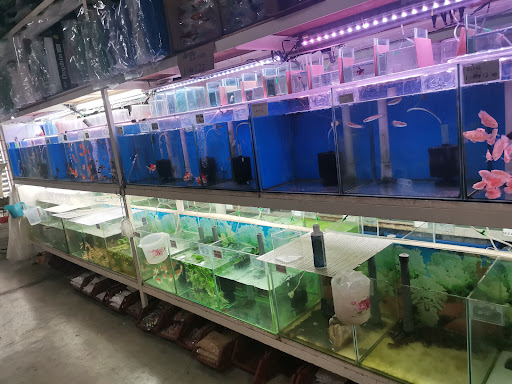 TL FISH＆PET SHOP