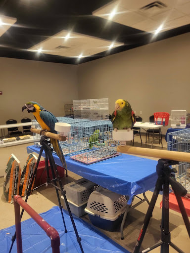 P3S Pet Shop Specialist & Studio 专业宠物馆
