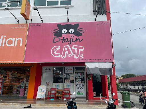 Dtajin Catz Pekan