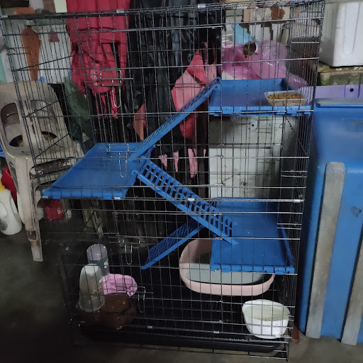 DtajinCatz Peramu