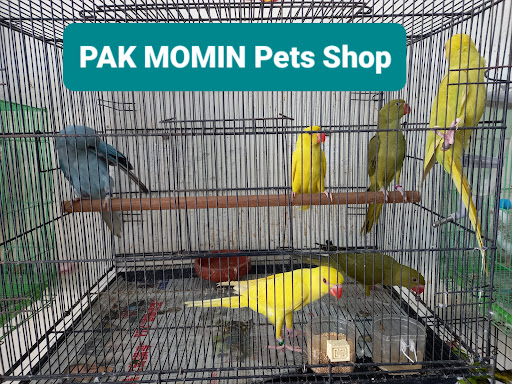 PAK MOMIN PETS SHOP