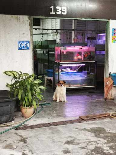Kedai Ikan Kampung Baru Slim River