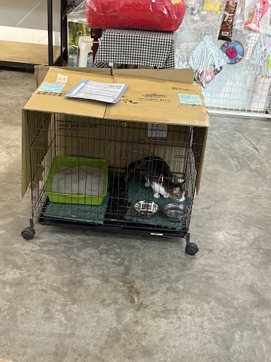 PET STORY Johor Jaya
