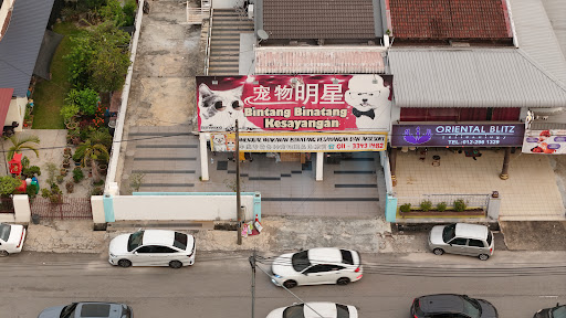 Bintang Pet Shop 宠物明星