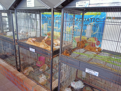 KK Aquatic & Pet Sdn Bhd