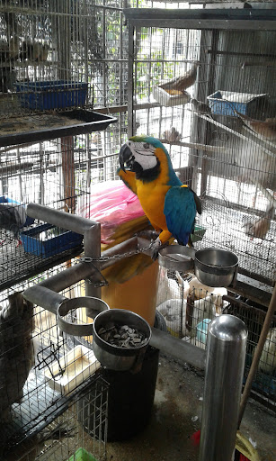 Soon Shui pet shop