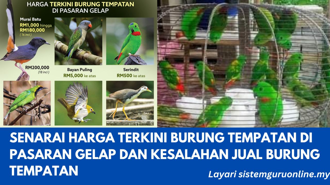 serper image 2297 1778461119